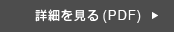 詳細を見る(PDF)