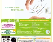 Iwase Information